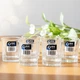 Набор рюмок Lang Xu Glass 72 мл 6 шт (LXY-1503) - изображение 7