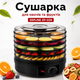 Сушилка для овощей и фруктов Zepline ZP-029 дегидратор 800 Вт с 5 поддонами, электросушилка для грибов, ягод, трав, регулировкой температуры 35–70 °C, функцией вентилятора, прозрачной крышкой, черная - изображение 1
