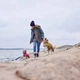 Дощовик для собак Hurtta Monsoon coat II ECO Рожевий 35 - изображение 3