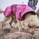 Дощовик для собак Hurtta Monsoon coat II ECO Рожевий 35 - изображение 2