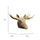 Картонний конструктор Cartonic 3D Puzzle Moose 308 елементів (CARTMOOSE) - зображення 5