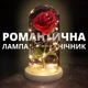 Світильник троянда в колбі LED декоративний нічник подарунок для інтер'єру та кімнати AND 5456 - зображення 7