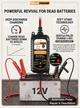 Автоматическое зарядное устройство для аккумулятора MOTOPOWER MP00205A 12V 800mA (trickle charger, десульфатор) - изображение 5