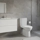 Унітаз-компакт Geberit Selnova 501.753.00.1 із сидінням з дюропласту - изображение 2