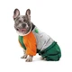 Дождевик Pet Fashion Marlie для собак S - изображение 4
