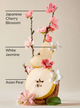 Гель для душу Bath & Body Works (667659400867) Japanese Cherry Blossom 295 мл - изображение 3
