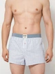 Чоловічі труси-шорти UnderCO Base Collection “Polo Sky” | Size L - изображение 1