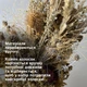 Набор для творчества «Букет из сухоцветов» DIY — создание декоративного букета из натуральных сухоцветов - изображение 4