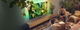 Телевизор Philips 75PUS8319/12, 75", UHD 4K, 60 Гц, Ambilight, Titan OS, 350 нит, Dolby Atmos, звук 20 Вт, пульт с микрофоном - изображение 7