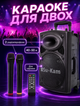 Портативная акустическая система с Bluetooth и FM-радио для караоке с 2 микрофонами и аккумулятором на 8-10 часов - изображение 2