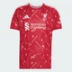 Мужское домашнее джерси Liverpool FC 26/27 adidas KA6852 (S) Бордовый (4069989005846) - изображение 7
