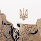 Многослойная деревянная карта Киева с детализацией районов, улиц, метро тера размер 100x105 см - изображение 6