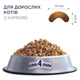 Сухой корм для взрослых котов CLUB 4 PAWS Adult Cats Chickenз куркою 14 кг (4820083909146) - изображение 2