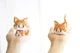 Конструктор Cute Cat 2 в 1 Фигурка Кот 439 деталей (01899) - изображение 2