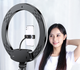 Кольцевая лампа 33 см AL-33 Ring Supplementary Lamp с пультом ДУ - изображение 1
