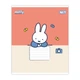 Зошит шкільний Yes My Miffy А5 12 аркушів коса лінія (768653) - зображення 3