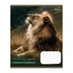 Зошит шкільний 1Вересня Into the wild А5 48 аркушів лінія (769131) - изображение 2
