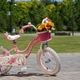Детский велосипед RoyalBaby Stargirl 25.18-03 колеса 18" Розовый (BP144463) - изображение 8