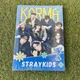 Игровой набор Журнал Альбом Стрей Кидс Фотобук Stray Kids Karma k-pop Формат А4 к-поп Постер карточки открытка наклейки - изображение 2