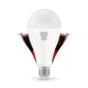 Светодиодная LED лампа аккумуляторная TITANUM A80 12W E27 4000K 230V - изображение 2