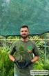Саженцы Сосны черной Пирамидалис (Pinus nigra Pyramidalis) Р9 - изображение 6