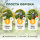Сучкорез AgroStar мод.097 диаметр реза 50 мм для веток сталь SK5 тефлоновое лезвие садовые ножницы 68 см - изображение 8