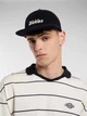 Кепка Dickies 10223678 Графіт ONESIZE DIC288 - зображення 3