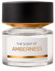 Woda perfumowana unisex BMW Fragrances Amberness 100 ml (679602602112) - obraz 1