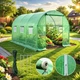 Теплиця садова 6 м² 3×2×2 м 6 вікон армована плівка 140 г/м² UV-4 оцинкований каркас 19 мм Зелена (P0021) - изображение 4
