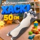М'яка іграшка-обіймашка Хаскі 50 см, плюшева подушка-антистрес для дітей та дорослих - зображення 1