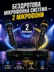 Беспроводная радиосистема для живых выступлений с двумя конденсаторными микрофонами кардиоидной направленности с радиусом приема до 30 м - изображение 1