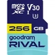 Карта пам'яті microSD 256GB GOODRAM Rival UHS-I/U3 Class 10 + SD-adapter (GGSM3AA-2560R12) - зображення 1