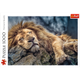 Puzzle Trefl Śpiący lew 1000 elementów (10447) - obraz 3