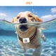 GPS трекер Topin G63 4G Cat1 IP67 для собак и котов WiFi GPS AGPS LBS LED SOS - изображение 4