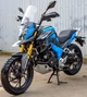 Мотоцикл Spark SP300T-3 (заводська упаковка) (Синій) - зображення 15