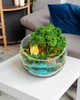 Мосариум "Лесная избушка", 18 см - изображение 2