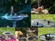 Плавающий садовый фонтан с солнечной панелью и различными насадками Solar Fountain Черный - изображение 4