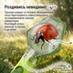 Детская лупа-ловушка для насекомых с увеличением 6x, с контейнером для наблюдения, портативная, зеленая - изображение 9