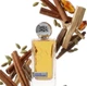Парфюм HORMONE PARIS THIS IS NOT TESTOSTERONE PARFUM 100 ml spray - изображение 3