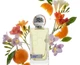 Парфум HORMONE PARIS THIS IS NOT GABA PARFUM 100 ml spray - зображення 3