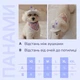 Панама для собак Hat-Dog Нежно-голубая ХS - изображение 2