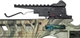 Рекурсивний арбалет Man Kung XB21 Rip Claw Green Camo — універсальна зброя для спорту та активного відпочинку - изображение 7