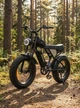 Велосипед електричний потужний електро фетбайк велосипед для дорослих fatbike з дисплеєм фарою на акумуляторі з крилами потужною рамою гірський чоловічий для міста села бездоріжжя Q20mini 48V 15AH 750W Ridstar Чорний 73950 - зображення 1
