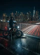 Велосипед електричний потужний електро фетбайк велосипед для дорослих fatbike з дисплеєм фарою на акумуляторі з крилами потужною рамою гірський чоловічий для міста села бездоріжжя Q20mini 48V 15AH 750W Ridstar Чорний 73950 - зображення 9
