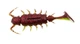 Віброхвіст LJ Pro Series ALIEN BUG 1,5in T44 їстівний 10 шт (набір 10 шт) - зображення 3