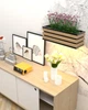 Настенное кашпо в стиле лофт EcoLoft Лисена DSP-1497-1 Дуб Аппалачи - изображение 4