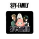 Подарунковий набір бокс Аніме Сім'я шпигуна Spy x family (СШ21703) - зображення 2