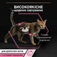 Вологий корм для кошенят Purina Pro Plan Kitten з індичкою, шматочки в підливці, пауч 85 г - зображення 2