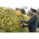 Кусторез DeWALT аккумуляторный, 18V, нож 55 см, до 19 мм, 5Ah (DCMHT562P1) DeWALT DCMHT562P1 1049236 - изображение 9