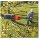 Кусторез Black&Decker высоторез, 18V,2Ah, штанга 150-244 см, длинна шины 20 см (GPC1820L20) BLACK&DECKER GPC1820L20 1050230 - изображение 6